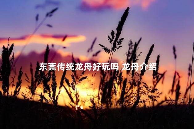 东莞传统龙舟好玩吗 龙舟介绍